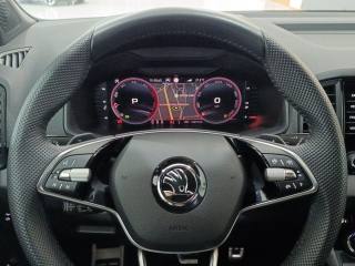 SKODA Karoq usata, con Autoradio digitale