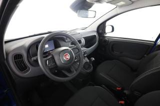 FIAT Panda usata 7