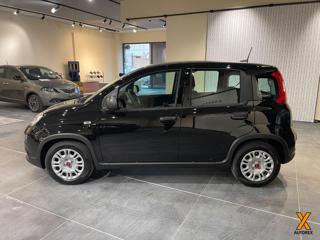 FIAT Panda usata, con Alzacristalli elettrici