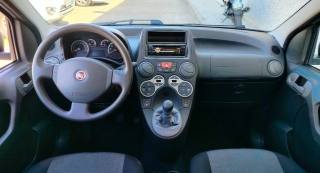 FIAT Panda usata, con Fendinebbia