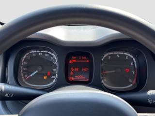 FIAT Panda usata 14