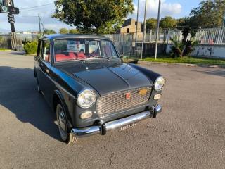 FIAT 1100 Fiat Altro  D - 103 G1 RESTAURATA COMPLET