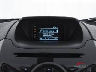 FORD EcoSport usata 14
