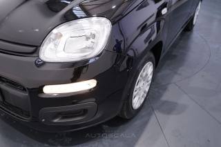 FIAT New Panda usata 22