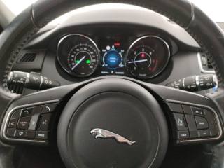 JAGUAR E-Pace usata, con Servosterzo