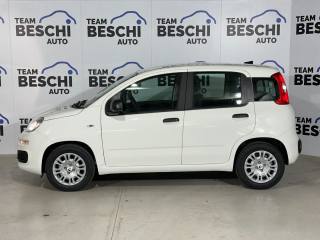 FIAT Panda usata, con Airbag Passeggero