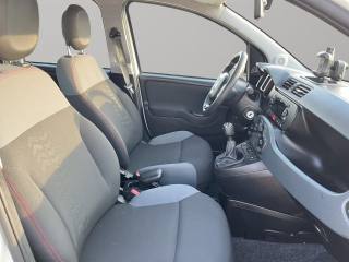 FIAT Panda usata 8