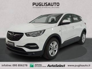 OPEL Grandland X usata, con Airbag laterali
