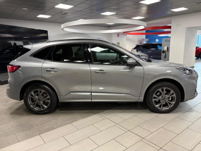 FORD Kuga usata, con Regolazione elettrica sedili