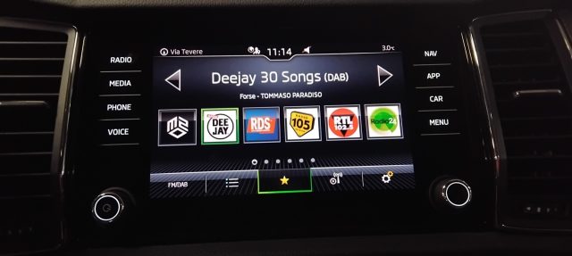 SKODA Kodiaq usata, con Airbag testa