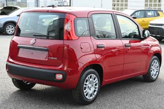 FIAT Panda usata, con Antifurto