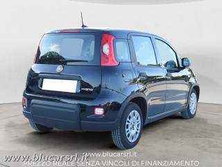 FIAT Panda usata 2