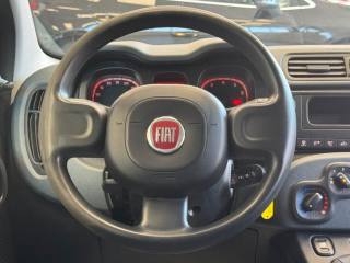 FIAT Panda usata, con Vetri oscurati