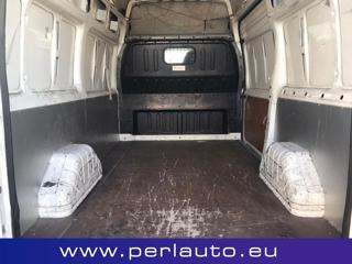 FORD Transit usata, con Cronologia tagliandi