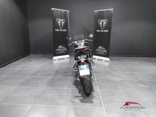 TRIUMPH Daytona 660 usata 5