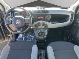 FIAT Panda usata, con Climatizzatore
