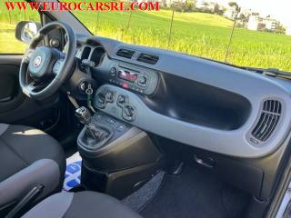 FIAT Panda usata 18