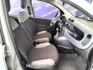 FIAT Panda usata, con Servosterzo