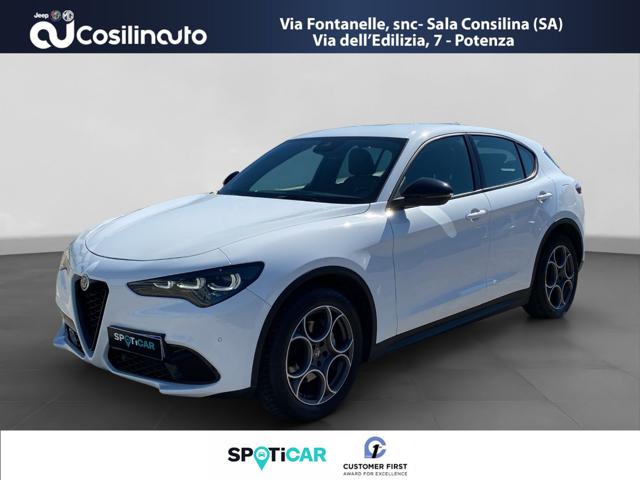 ALFA ROMEO Stelvio usata, con ABS