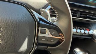 PEUGEOT 3008 usata, con Autoradio