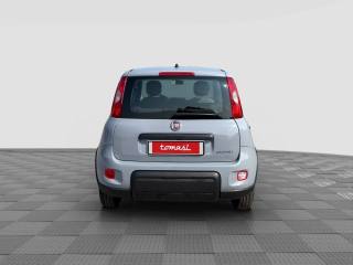 FIAT Panda usata 3