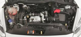 FORD Fiesta usata 38
