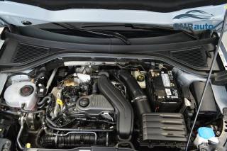 VOLKSWAGEN T-Roc usata, con Cronologia tagliandi