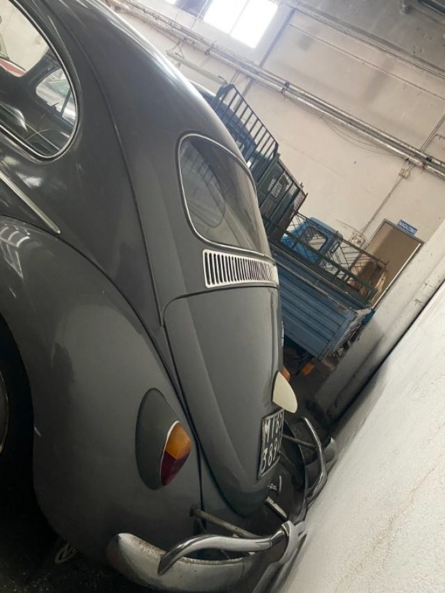 VOLKSWAGEN Maggiolone usata 3