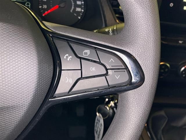 RENAULT Kangoo usata 18