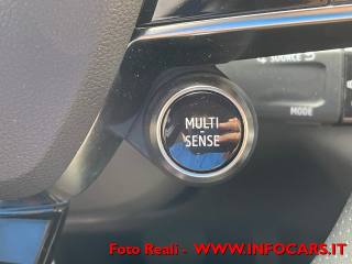 RENAULT Austral usata, con Monitoraggio pressione pneumatici