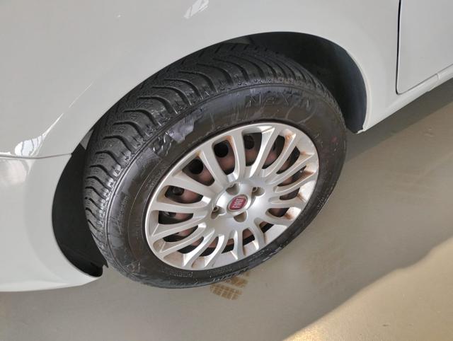 FIAT Punto usata 14