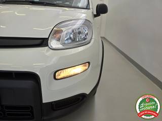 FIAT Panda usata 23