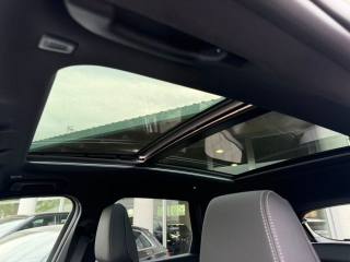 BMW X1 usata, con ESP