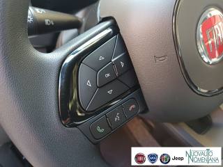 FIAT Panda usata, con Bracciolo