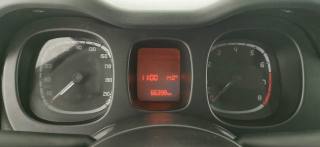 FIAT Panda usata, con Servosterzo