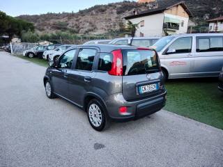 FIAT Panda usata, con Airbag Passeggero