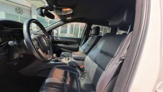 JEEP Grand Cherokee usata, con Fendinebbia