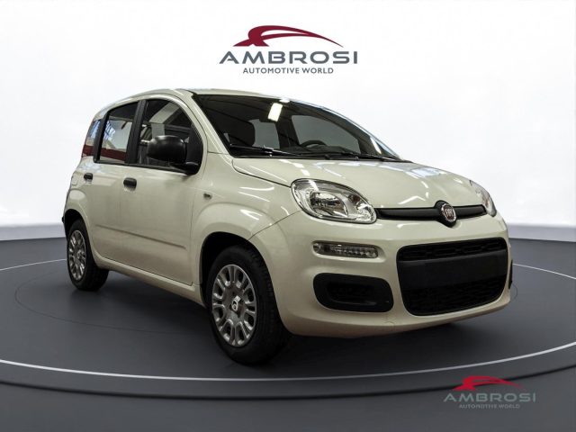 FIAT Panda usata 1