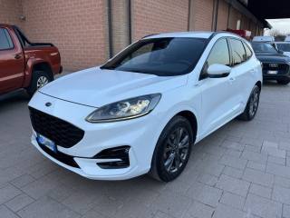 FORD Kuga 2.0 EcoBlue 190 CV aut. AWD ST-Line X