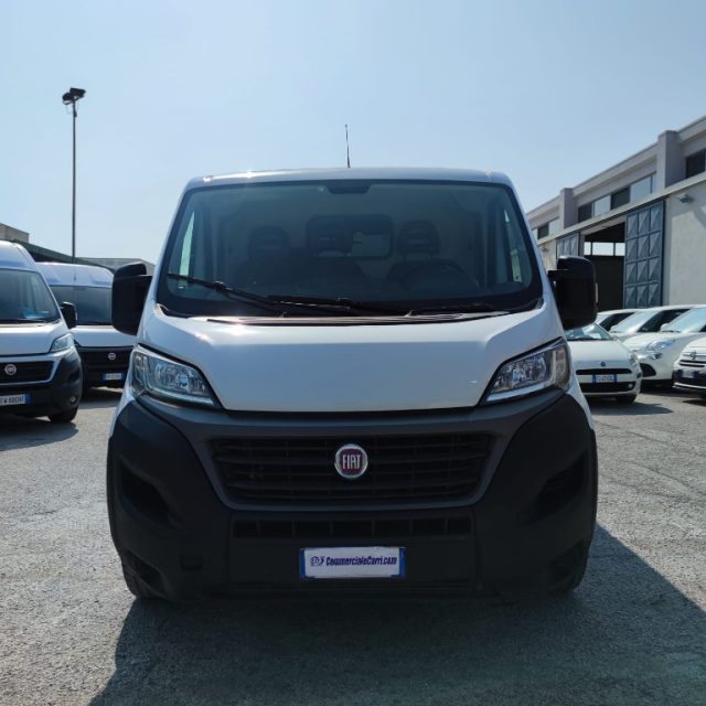 FIAT usata 7