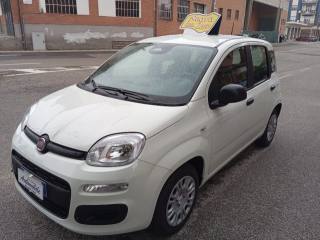 FIAT Panda 1.0 FireFly S&S Hybrid KM 0 PREZZO REALE
