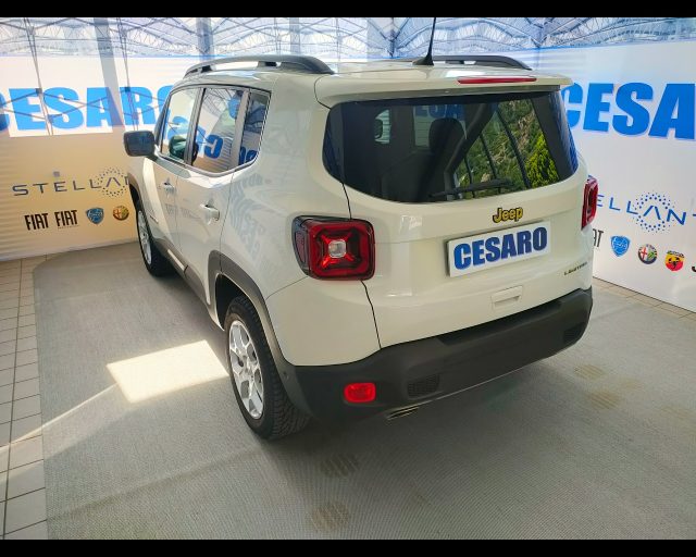 JEEP Renegade usata, con Cerchi in lega
