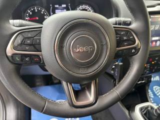 JEEP Renegade usata, con Cruise Control