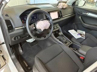 SKODA Karoq usata, con Park Distance Control