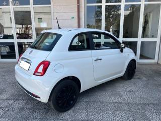 FIAT 500 usata 10