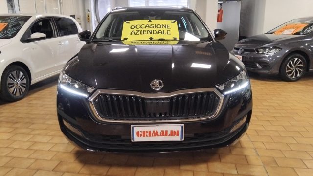 SKODA Octavia usata, con Airbag