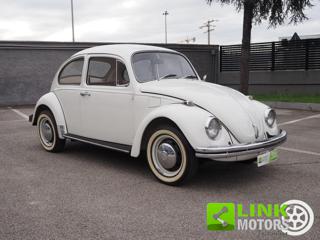 VOLKSWAGEN Maggiolino usata 14