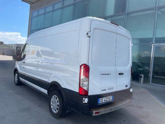 FORD Transit usata, con Cruise Control
