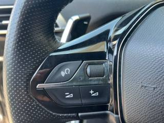 PEUGEOT 3008 usata 19