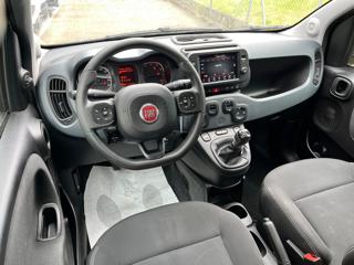 FIAT Panda Cross usata, con Climatizzatore